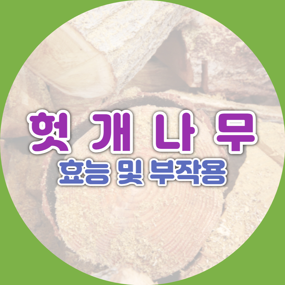 헛개나무의 효능과 부작용