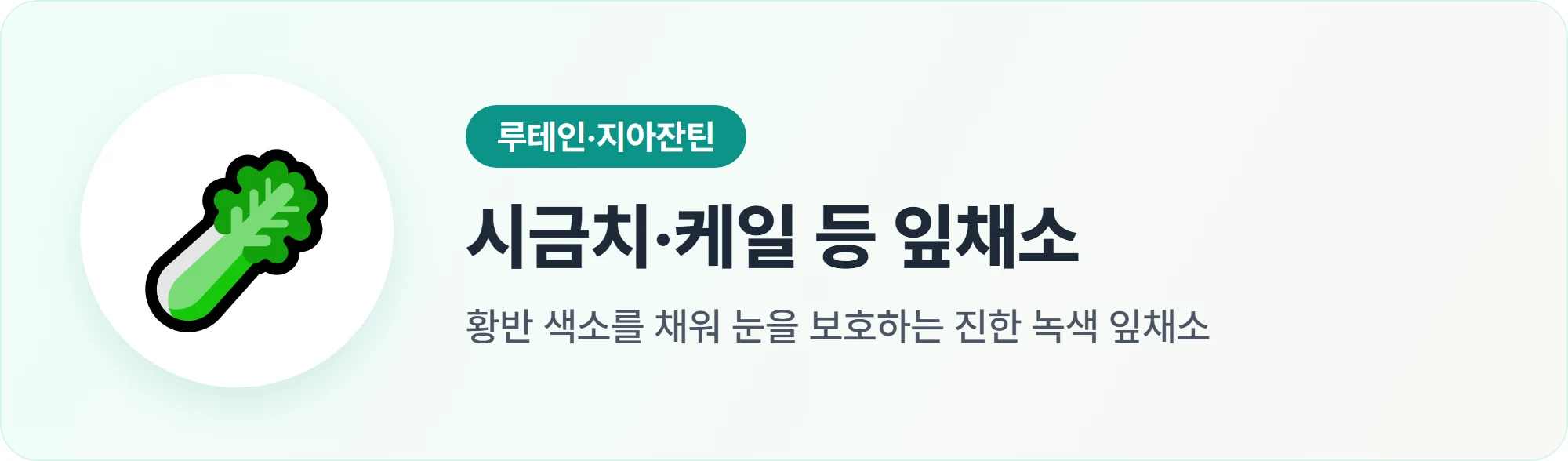 루테인이 풍부한 시금치·케일 등 눈 건강에 좋은 녹색 잎채소 안내 이미지