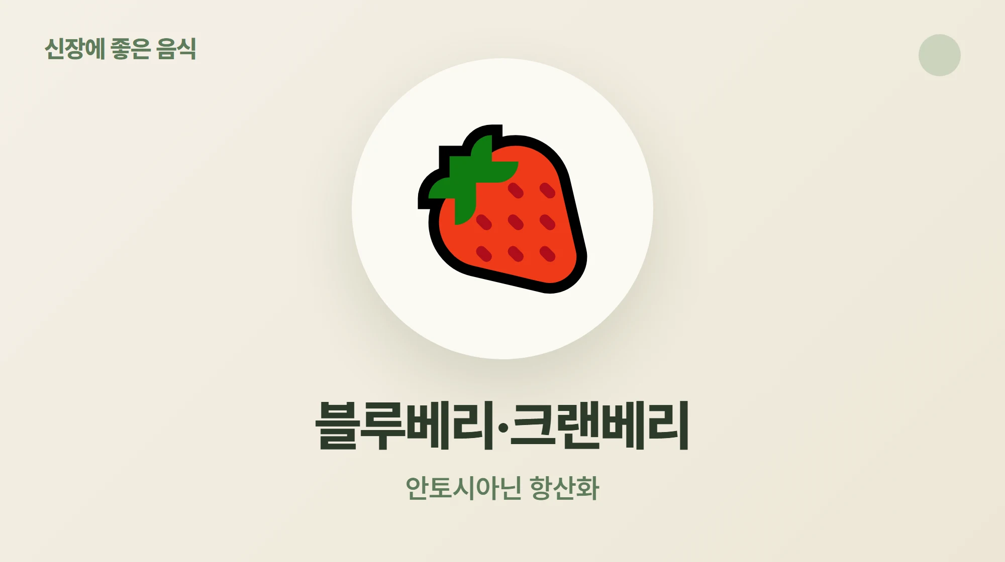 안토시아닌이 풍부한 신장에 좋은 음식 블루베리와 크랜베리
