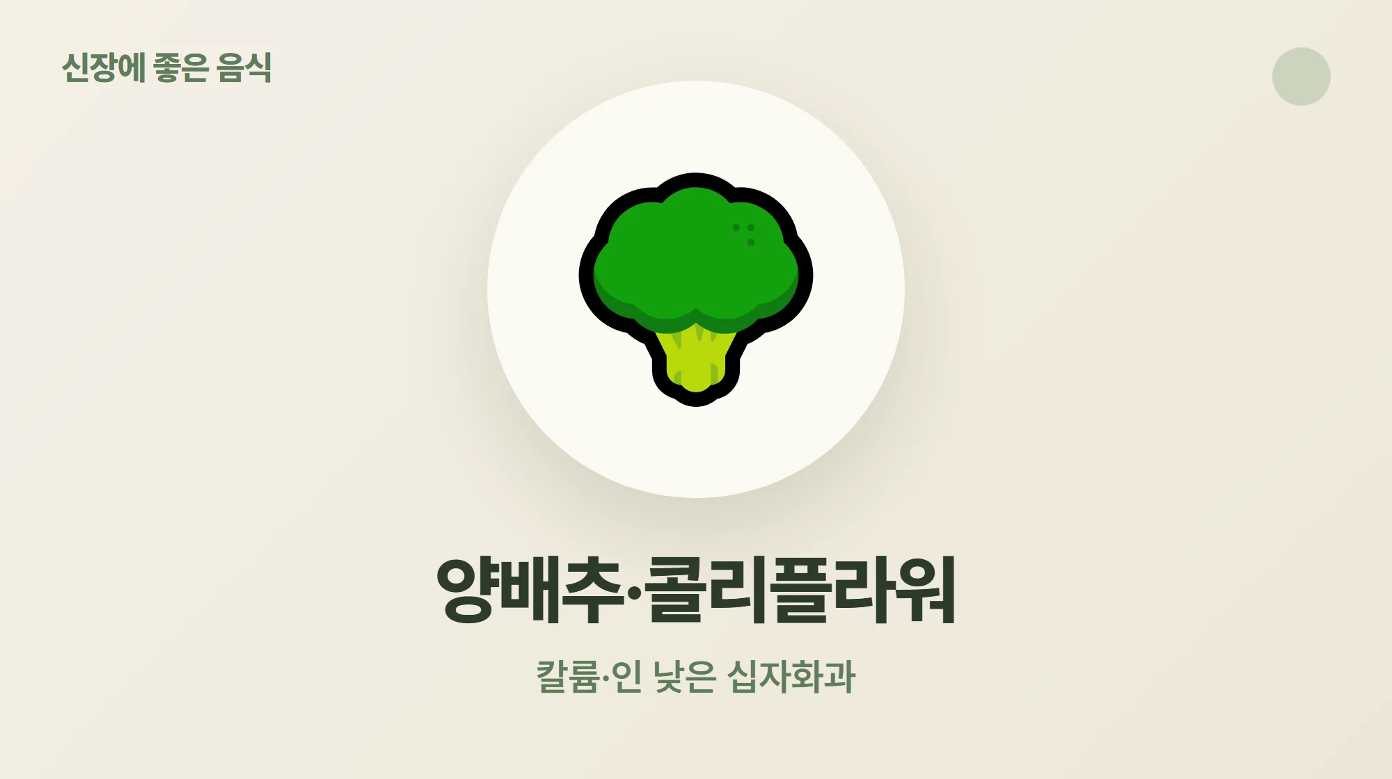 칼륨과 인이 낮은 신장 친화 채소 양배추와 콜리플라워