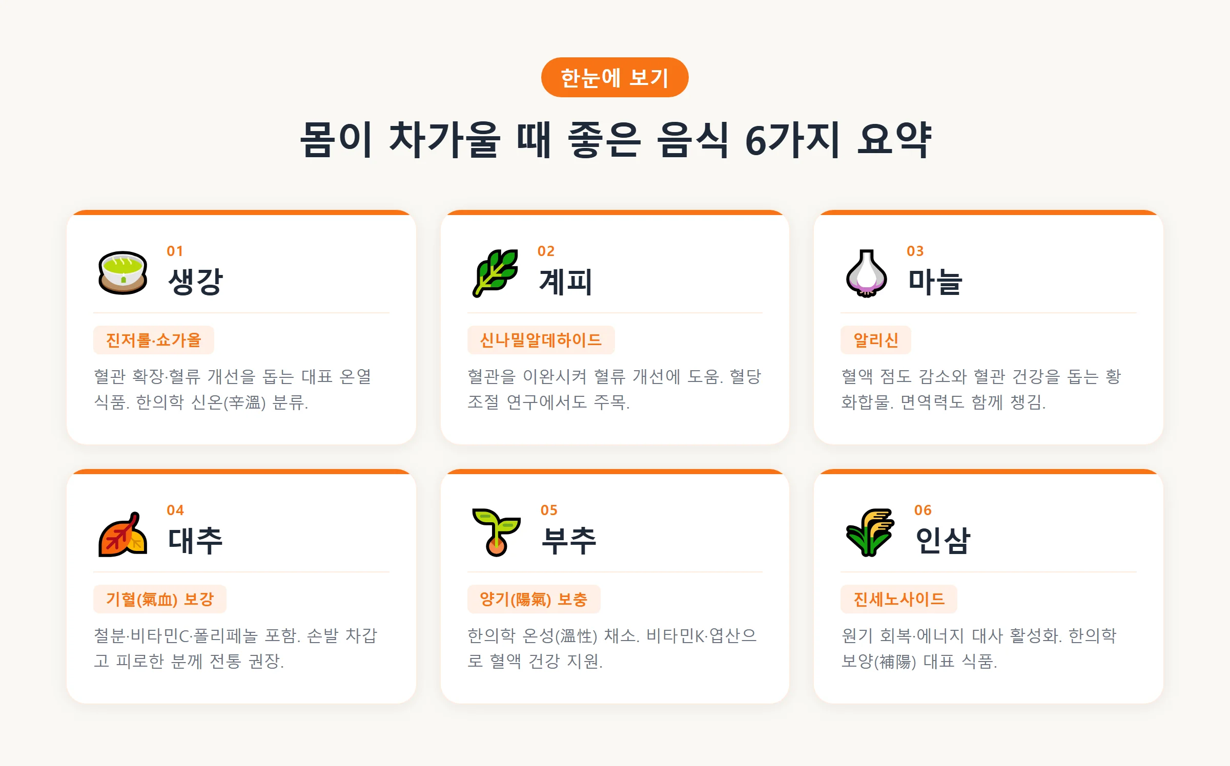 몸이 차가울 때 좋은 음식 6가지 요약 – 생강 진저롤·계피 신나밀알데하이드·마늘 알리신 등 온열식품 카드