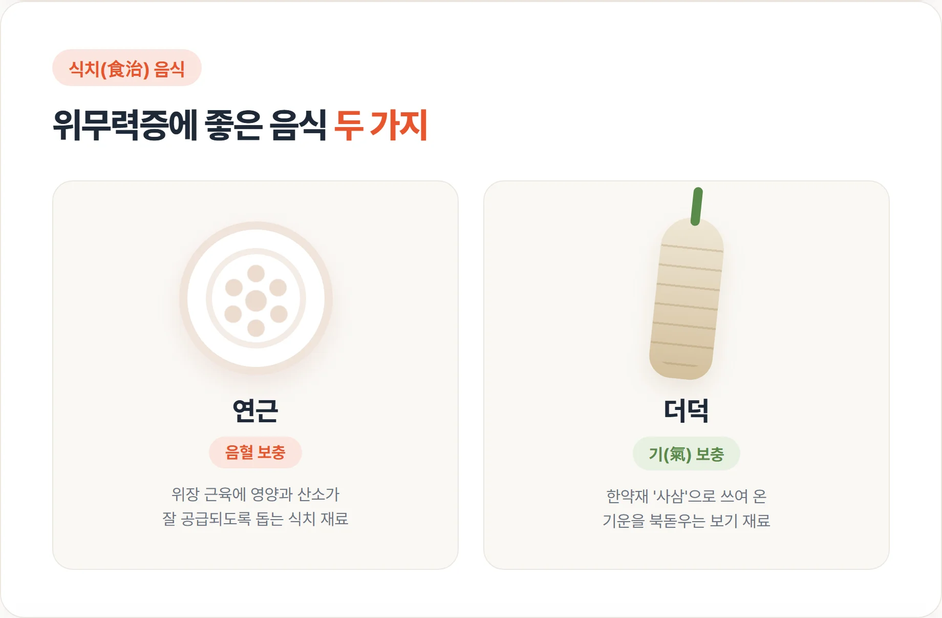음혈을 보충하는 연근과 기를 보충하는 더덕을 나란히 정리한 식치 음식 비교 이미지